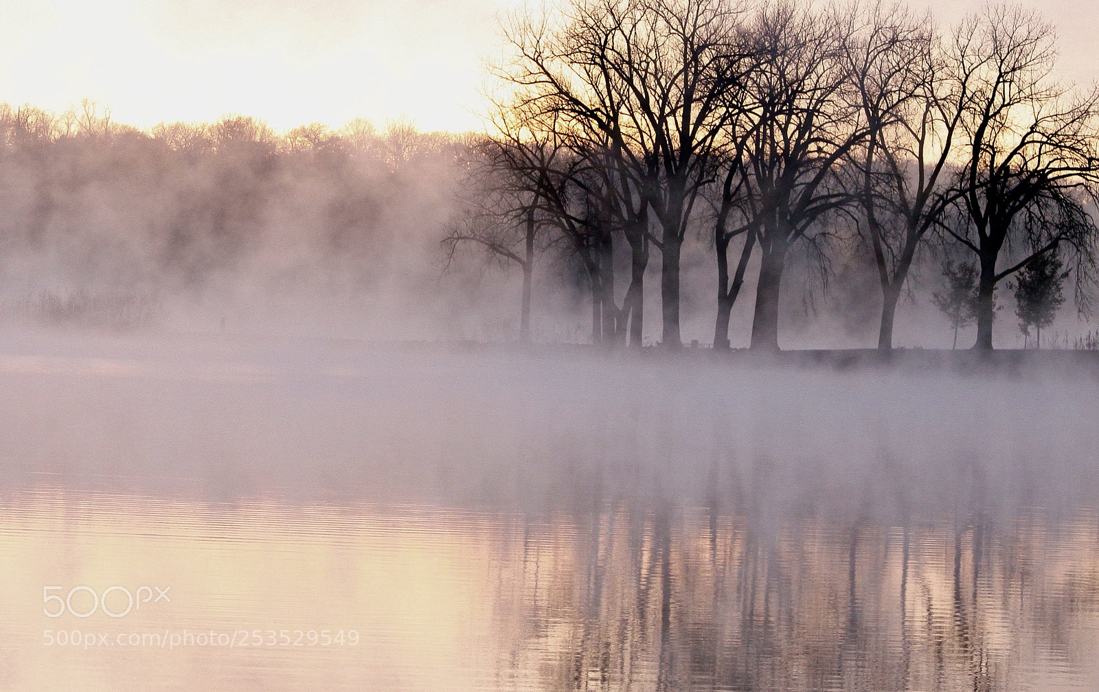 Canon EOS 50D sample photo. Morning  fog photography