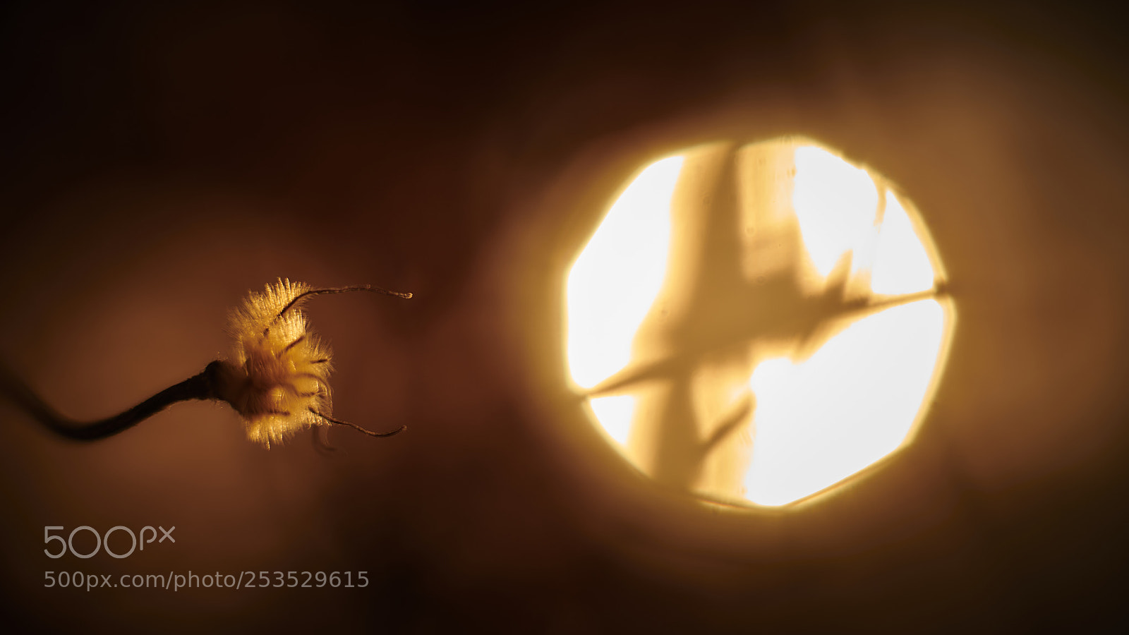 Nikon D850 sample photo. Probing the sun photography