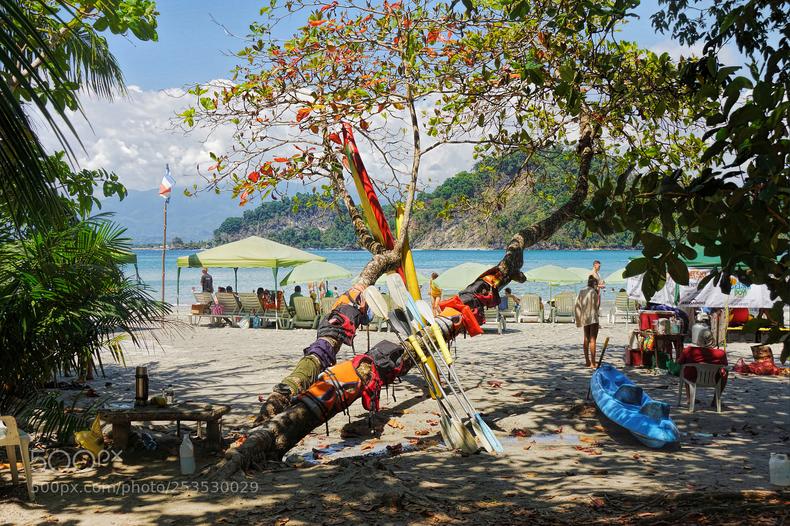 Sony SLT-A77 sample photo. Biesanz beach, pacific coast photography