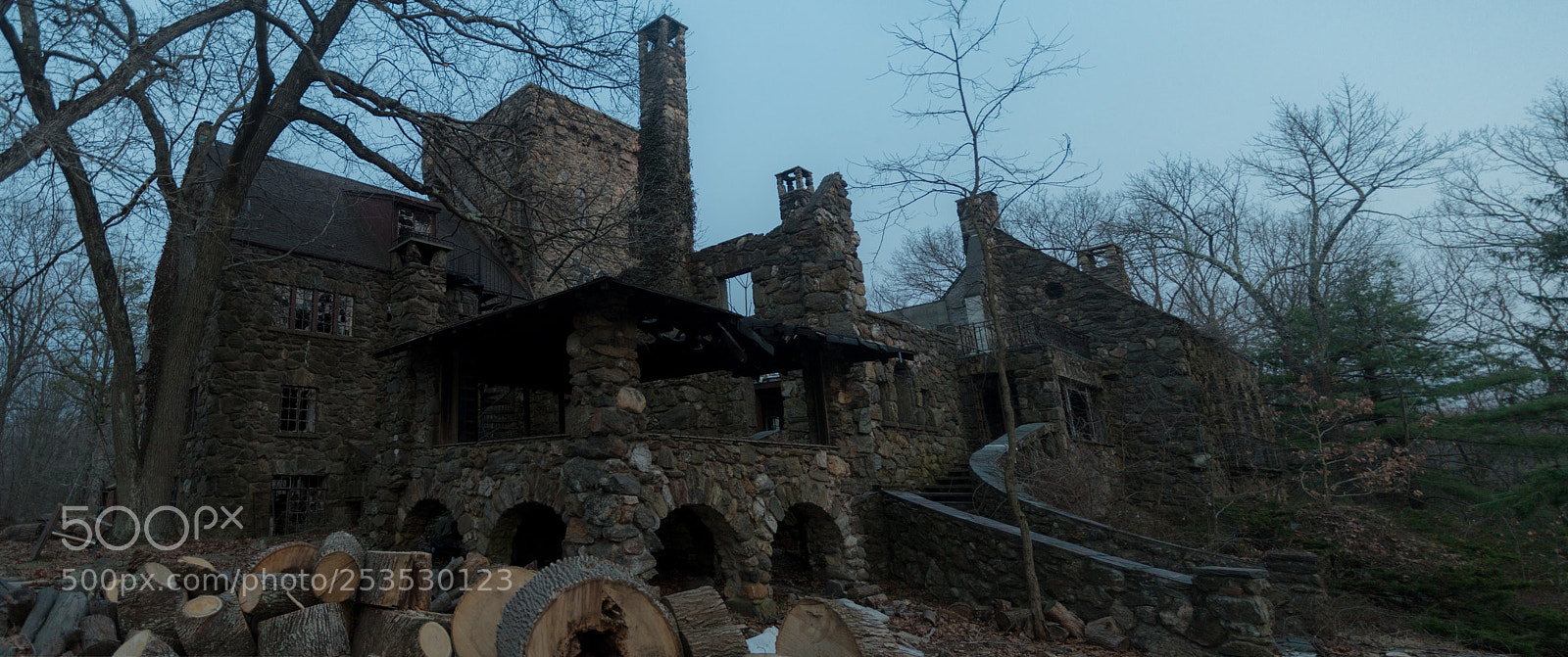 Nikon D500 sample photo. Castle in the woods photography