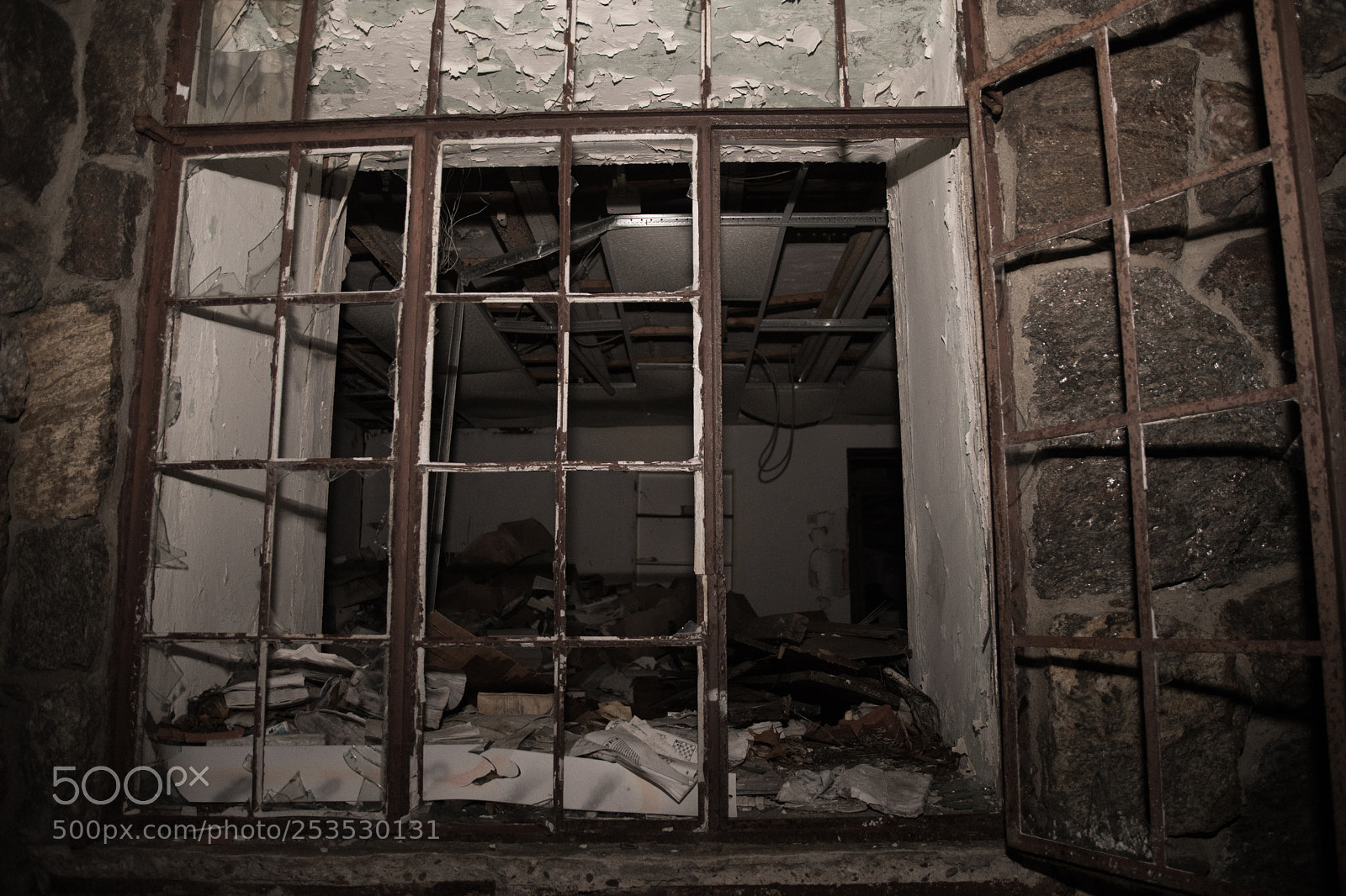 Nikon D500 sample photo. Looking in photography