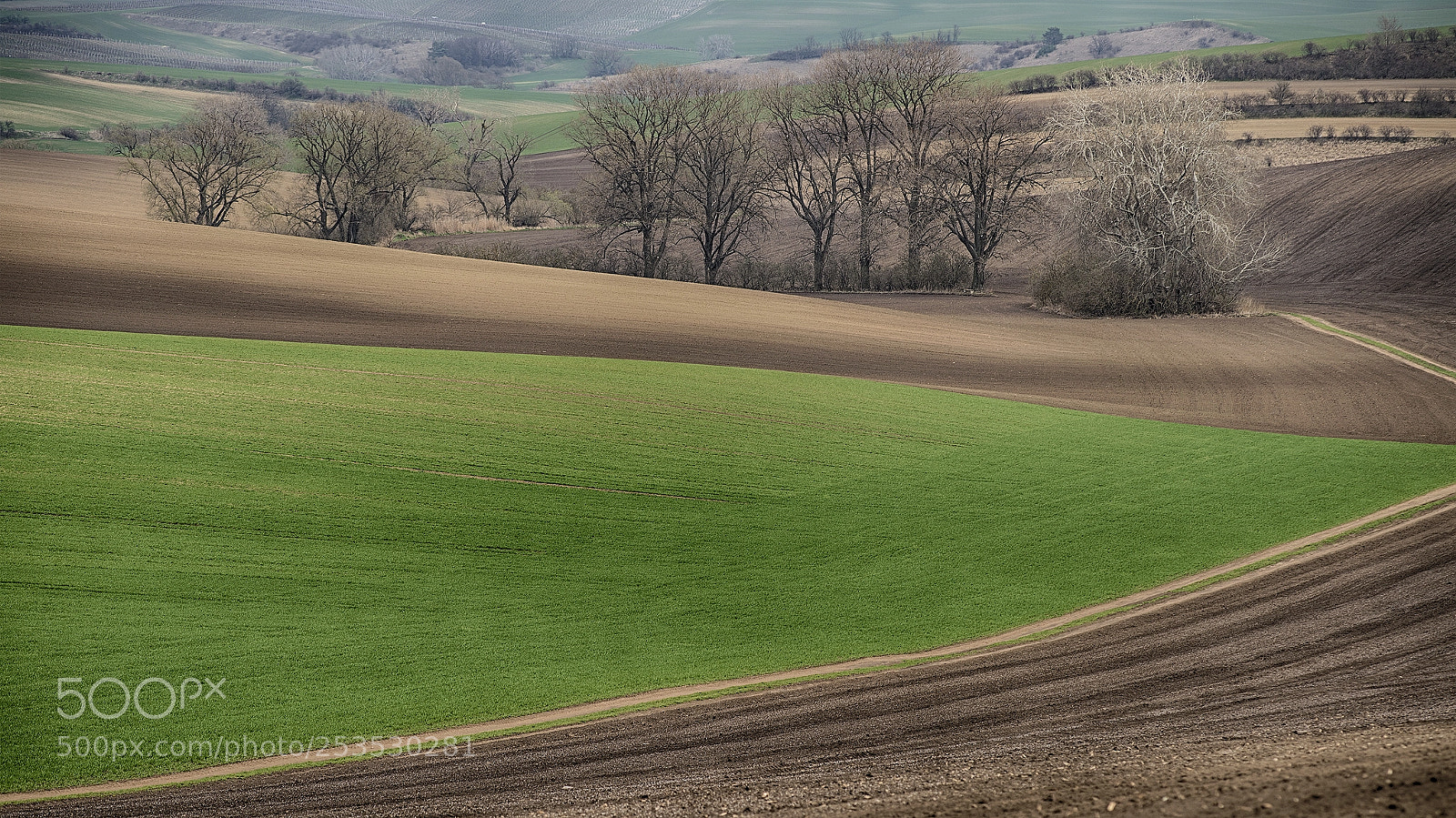 Nikon D610 sample photo. Field and fallow photography