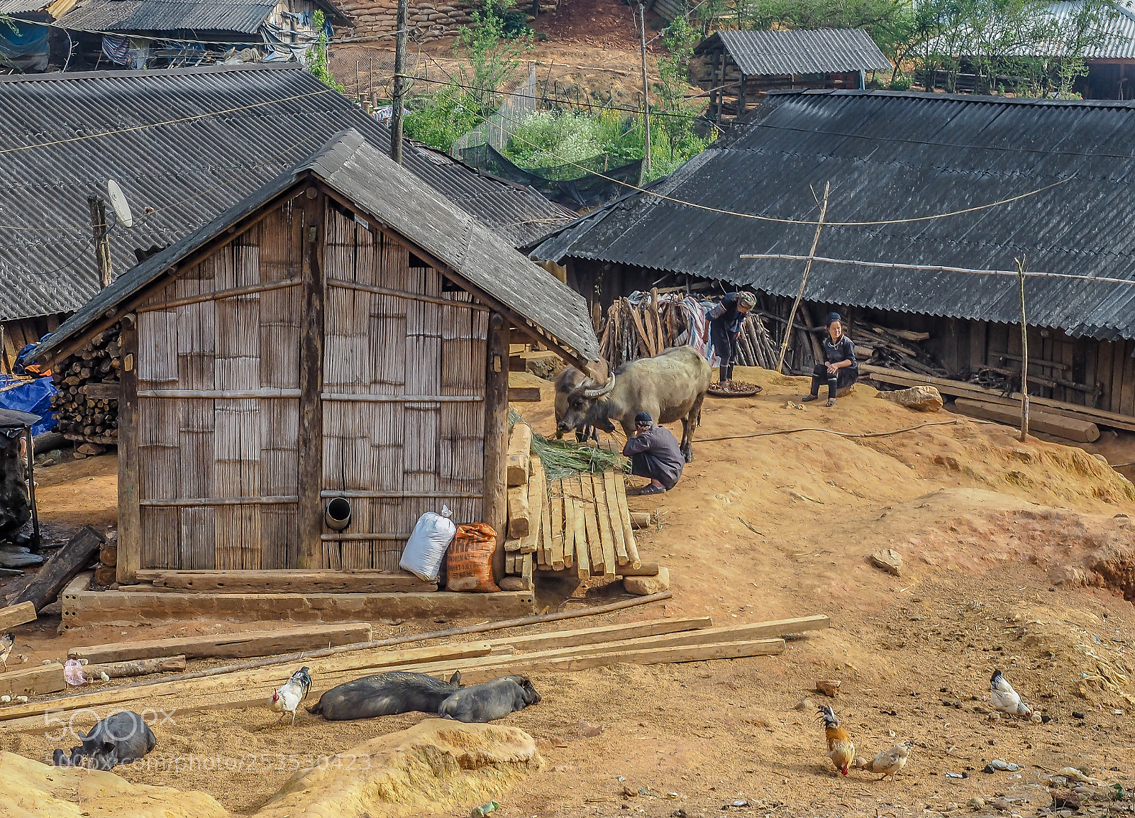 Olympus OM-D E-M5 II sample photo. Vietnam village... photography