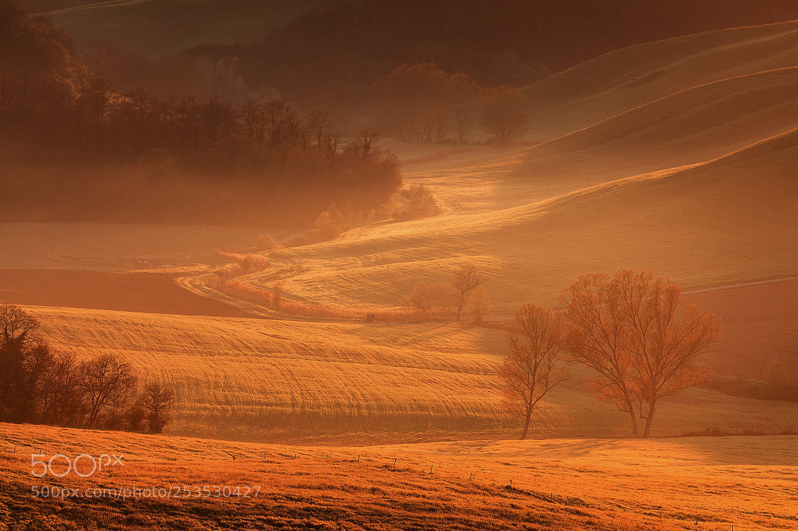 Canon EOS 5D Mark II sample photo. Tuscan stories #39 photography