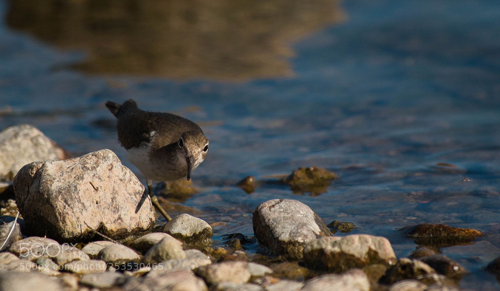 Canon EOS 70D sample photo. Around the corner photography