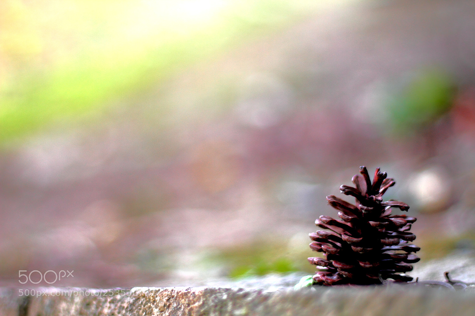 Canon EOS 7D sample photo. Untitled photography