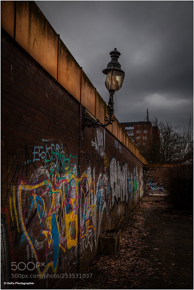Canon EOS 5D Mark II sample photo. Put your light on photography