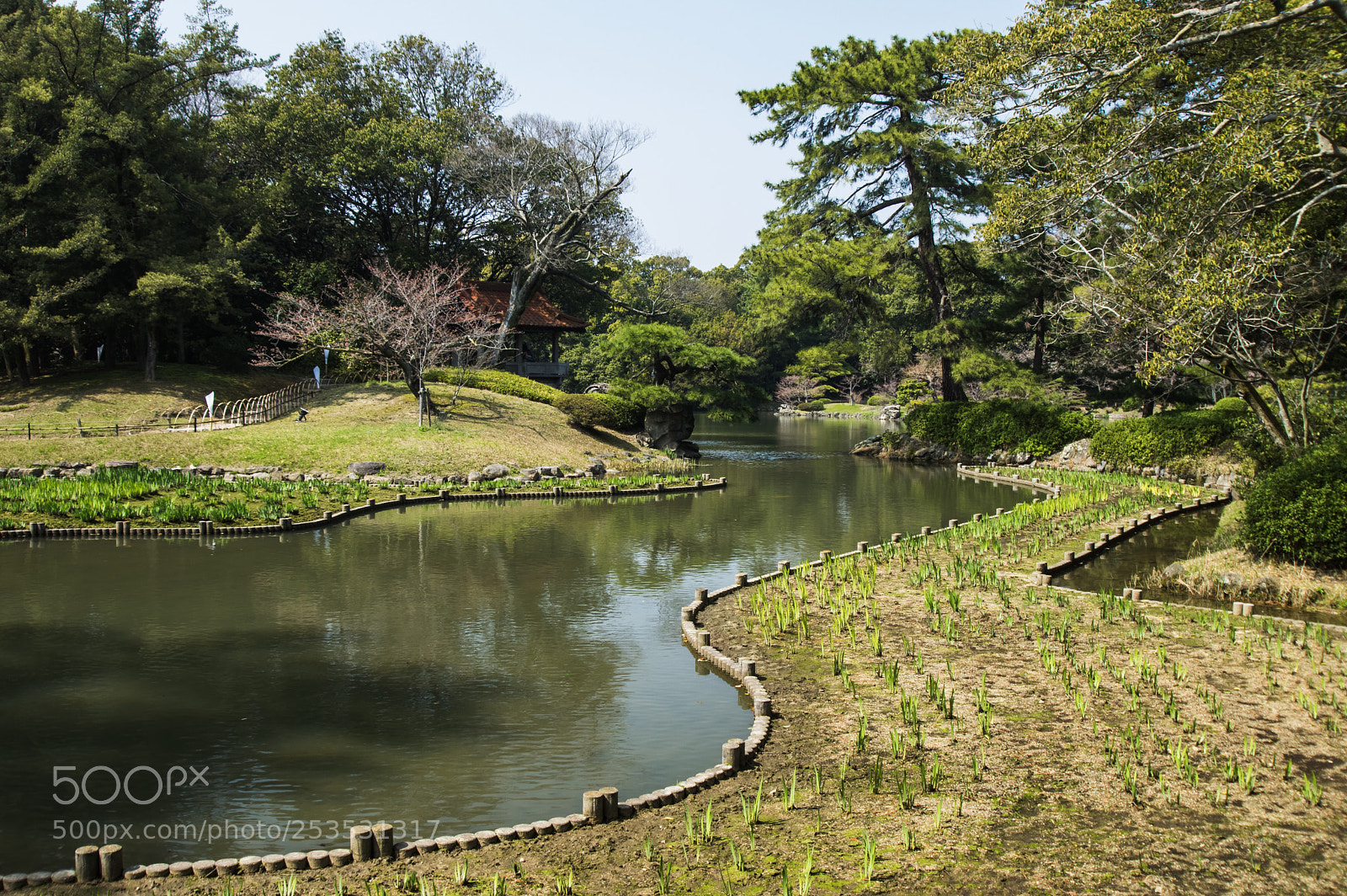 Pentax K-3 sample photo. Untitled photography