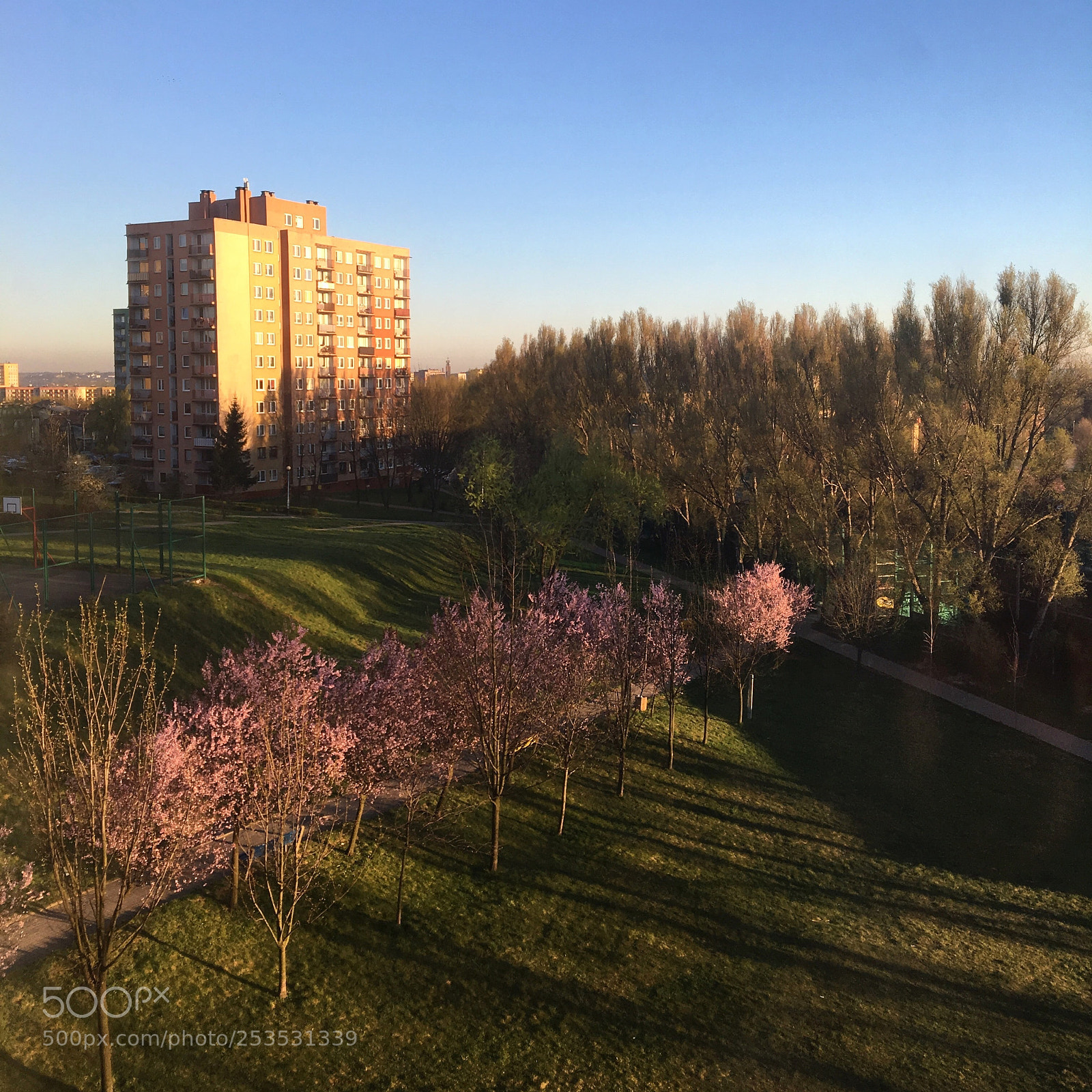 Apple iPhone 6s sample photo. Wiosenny poranek photography