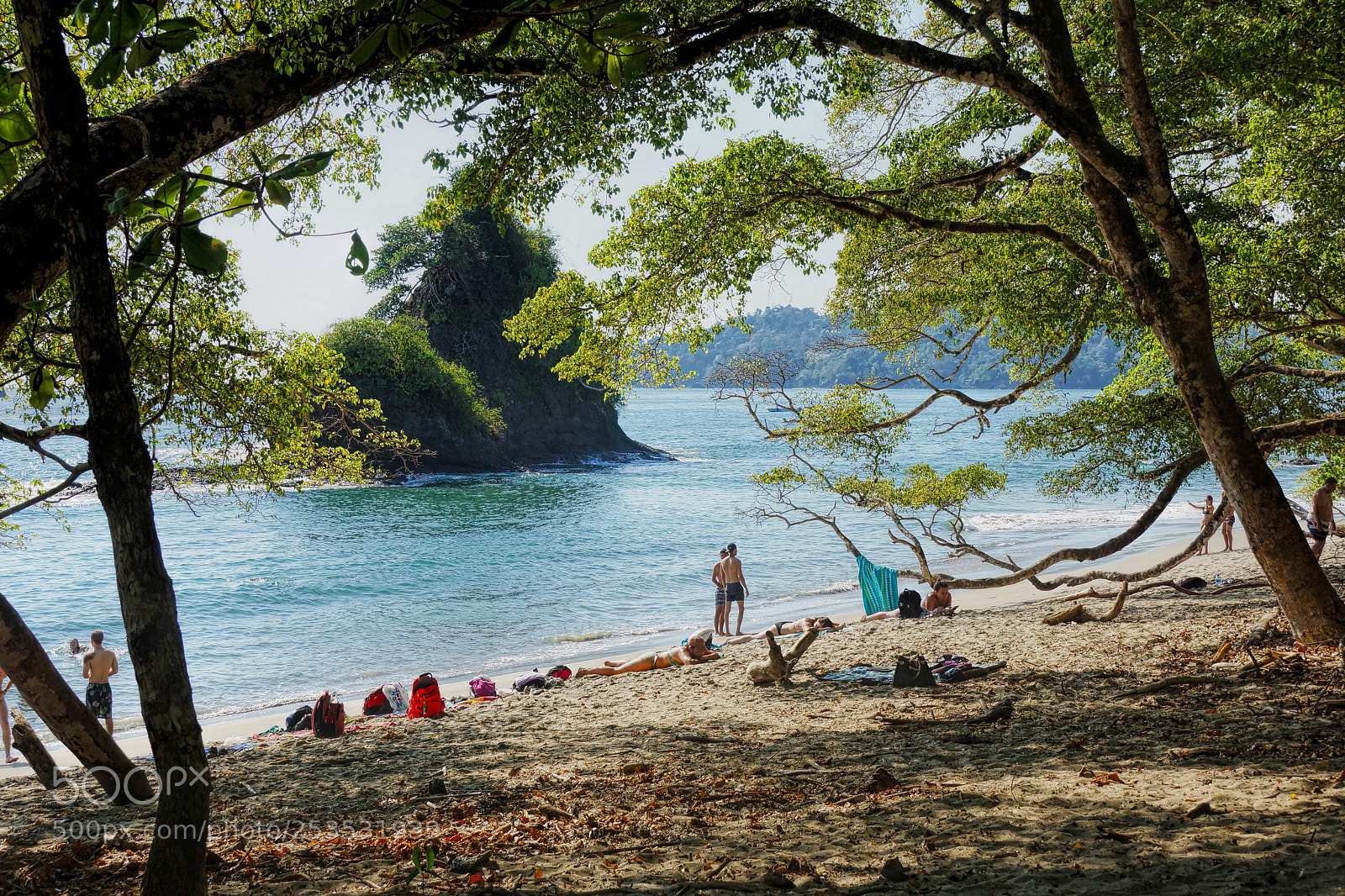 Sony SLT-A77 sample photo. Manuel antonio national park photography