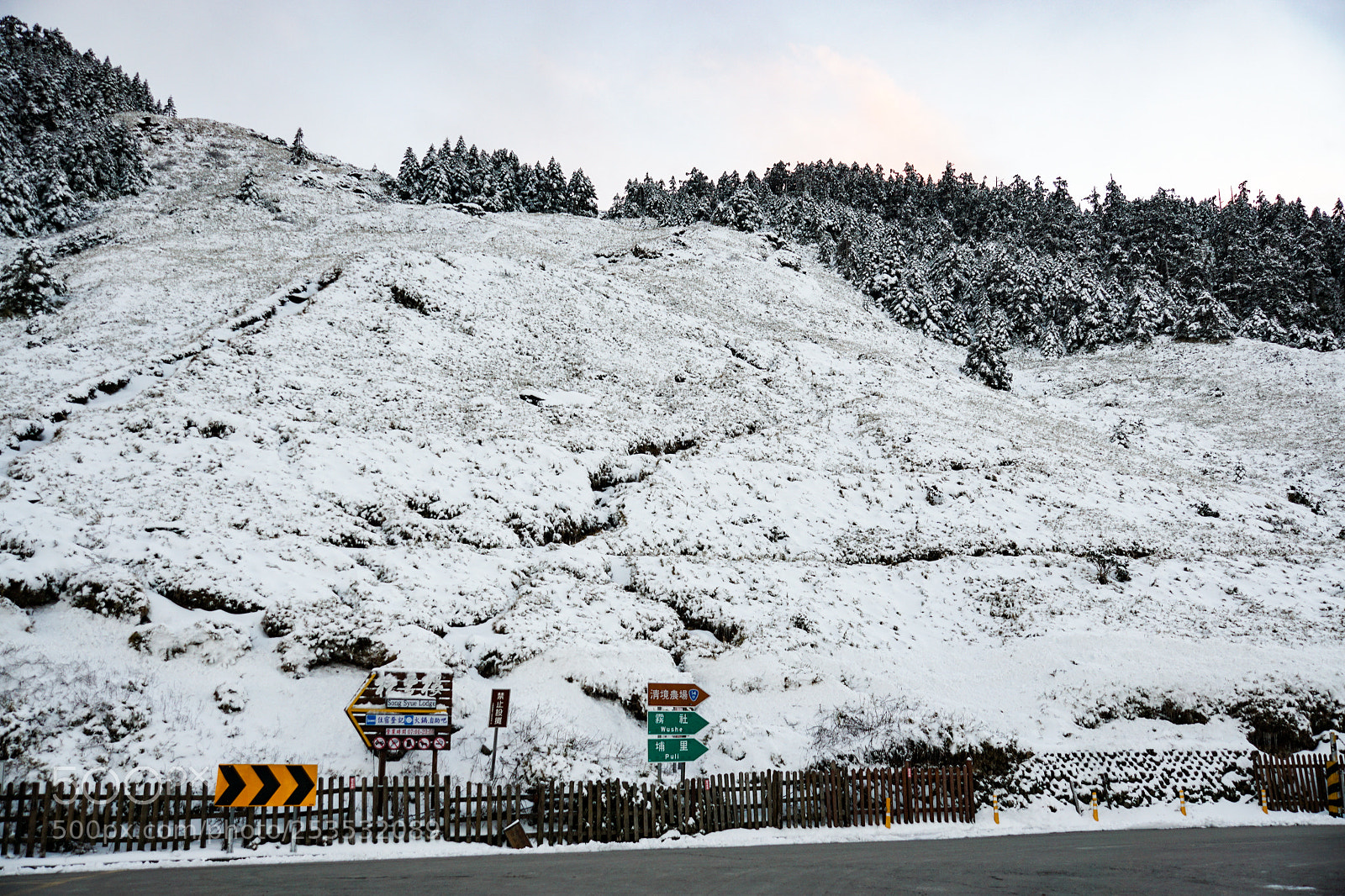 Sony ILCA-77M2 sample photo. 禁止設攤 photography