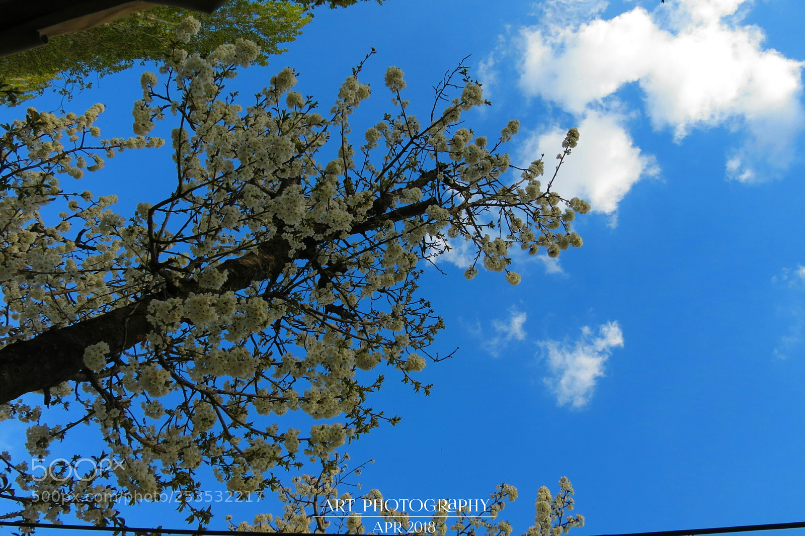 Canon PowerShot SX40 HS sample photo. As blue as ocean ! photography