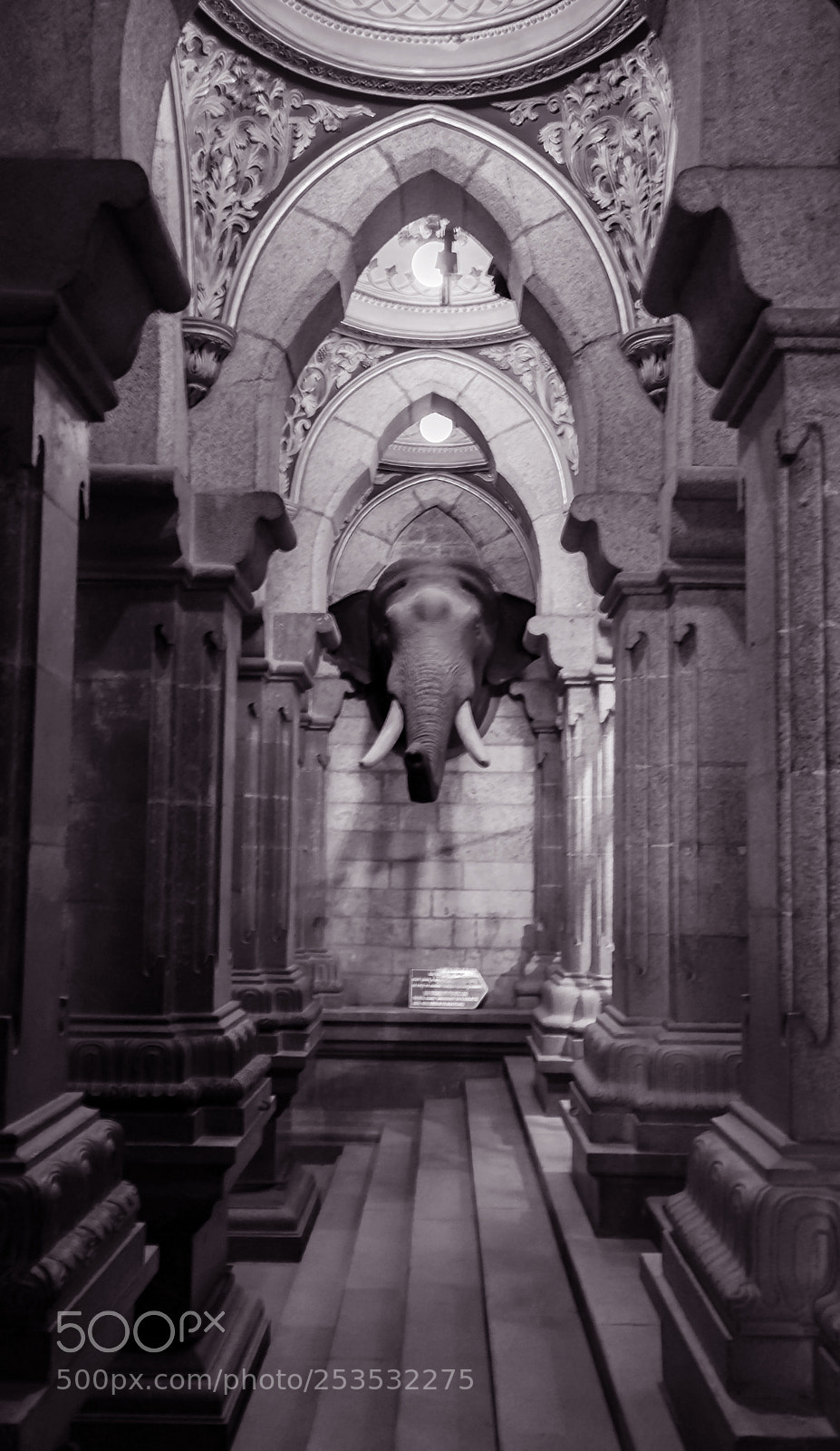 Nikon D3300 sample photo. Inside story: ambavilas palace photography