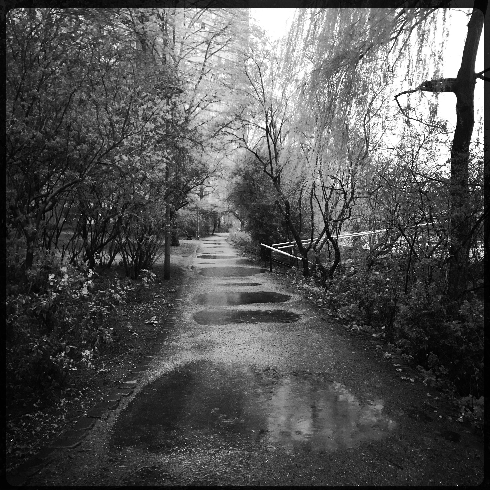 Hipstamatic 342 sample photo. Puddles photography
