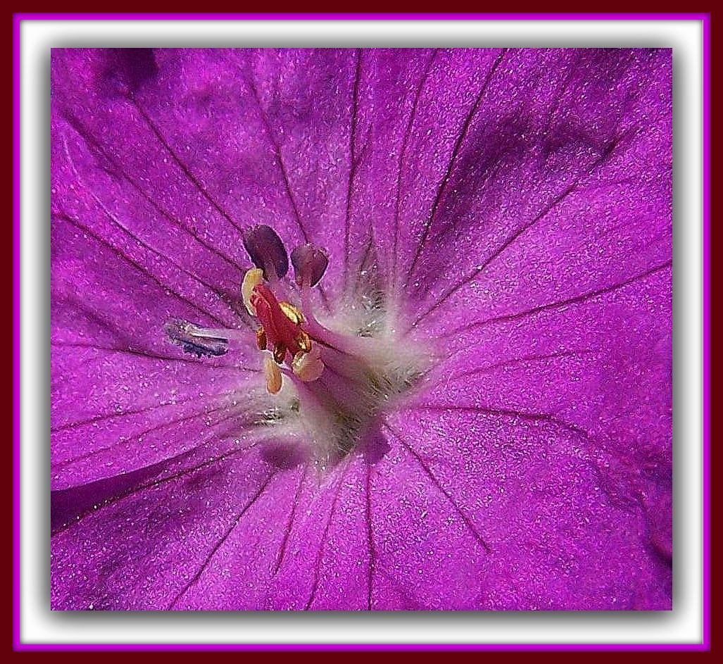 Kodak Z740 ZOOM DIGITAL CAMERA sample photo. Jardin du luxembourg () paris photography