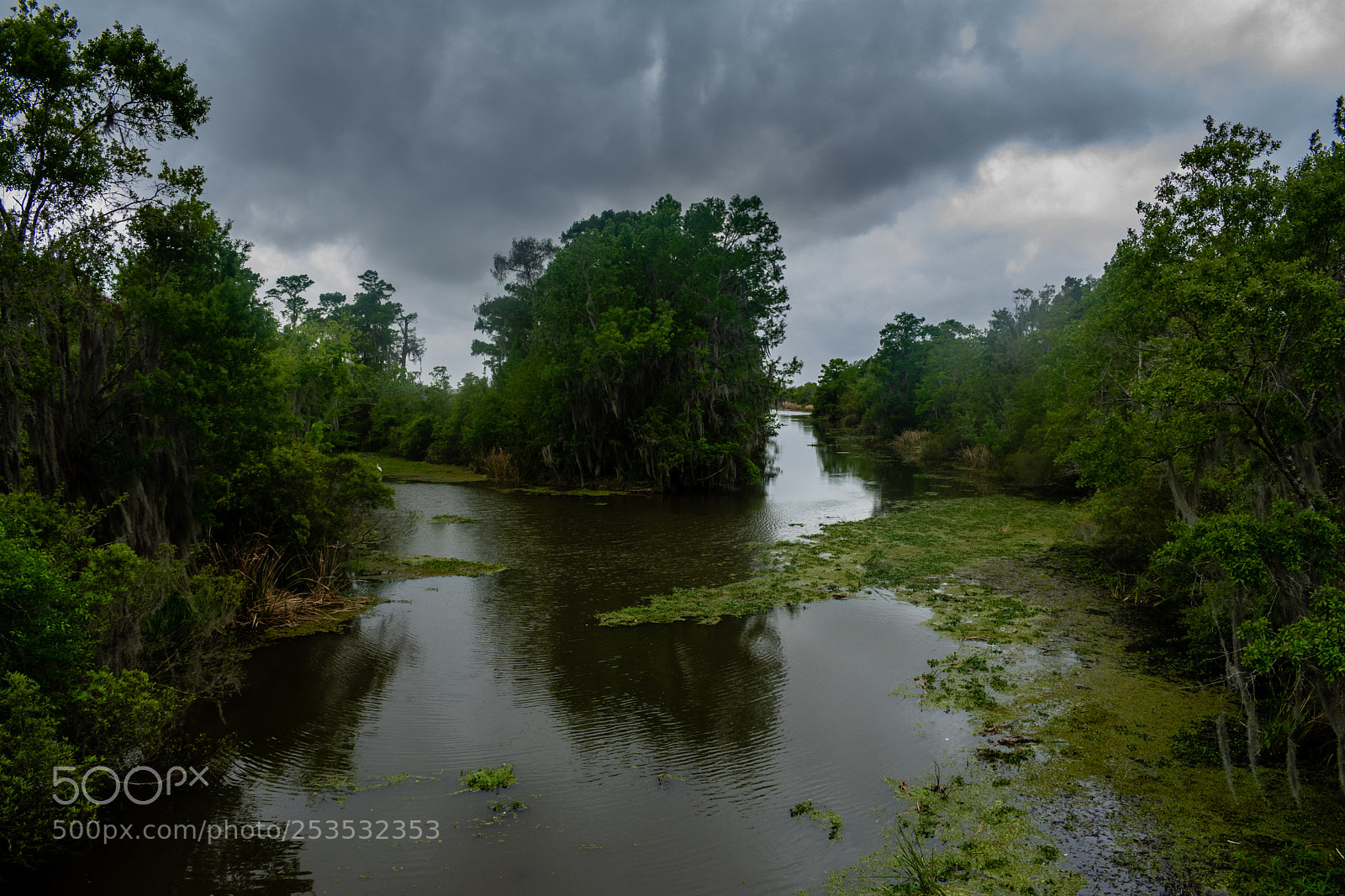 Nikon D7200 sample photo. Louisiana bayou photography