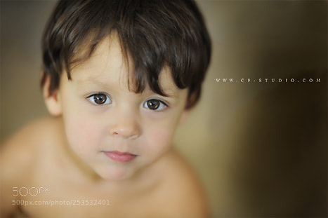 Nikon D3 sample photo. Untitled photography