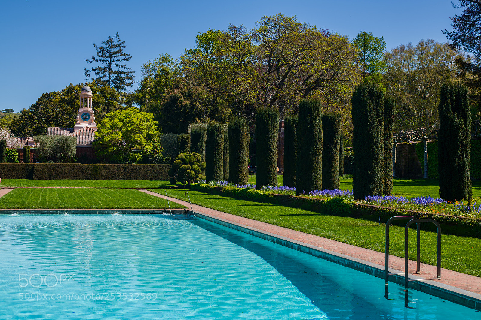 Nikon D850 sample photo. Filoli gardens photography