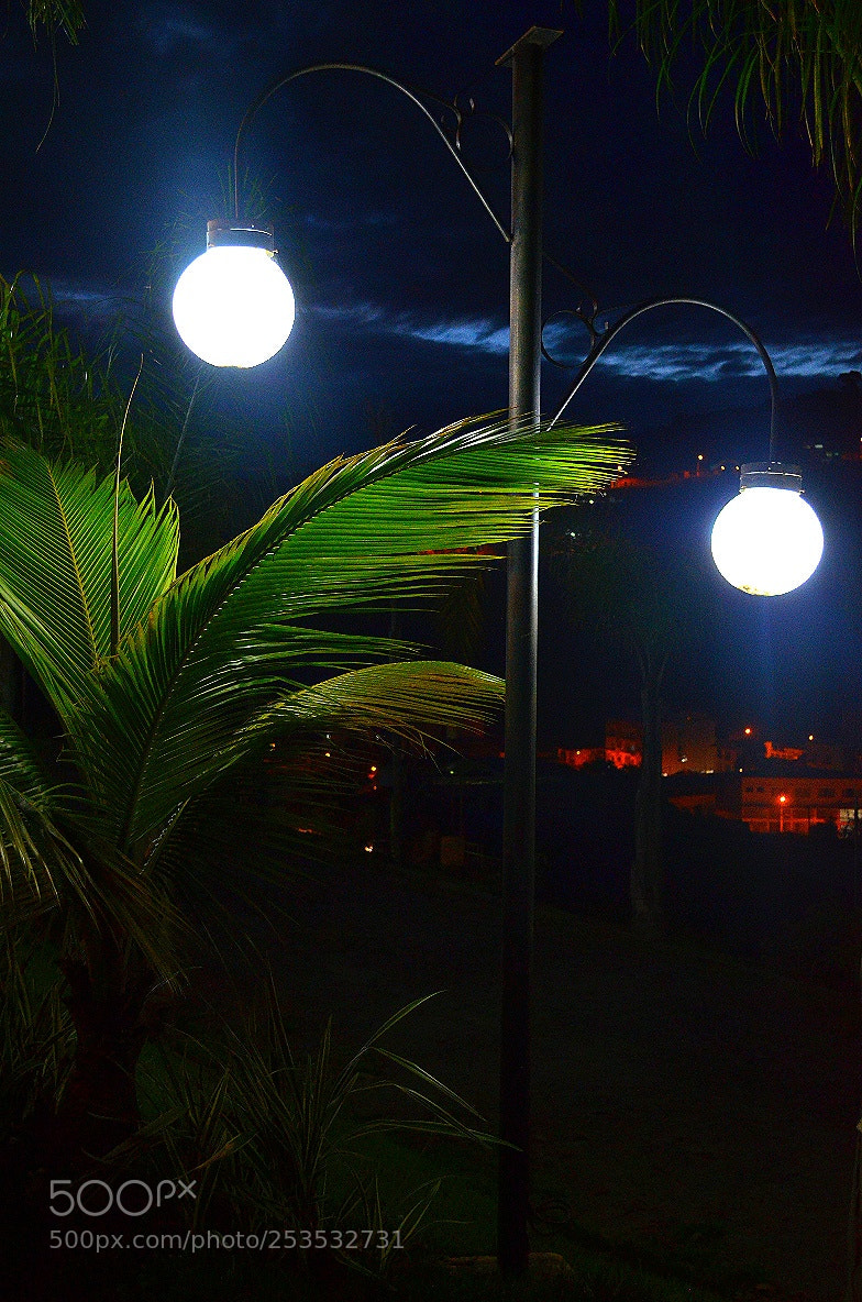 Nikon D5100 sample photo. Untitled photography