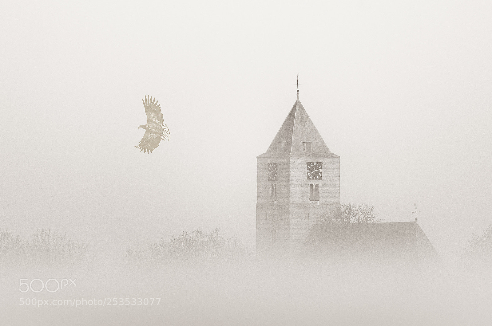Nikon D500 sample photo. A foggy morning photography