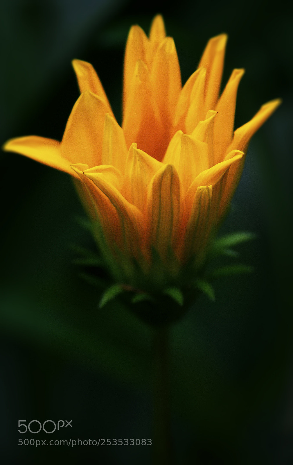 Canon EOS 70D sample photo. On the verge photography