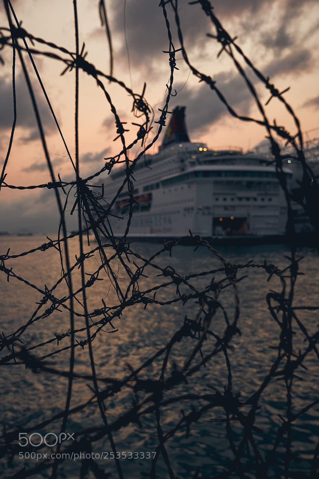 Sony a6500 sample photo. Untitled photography