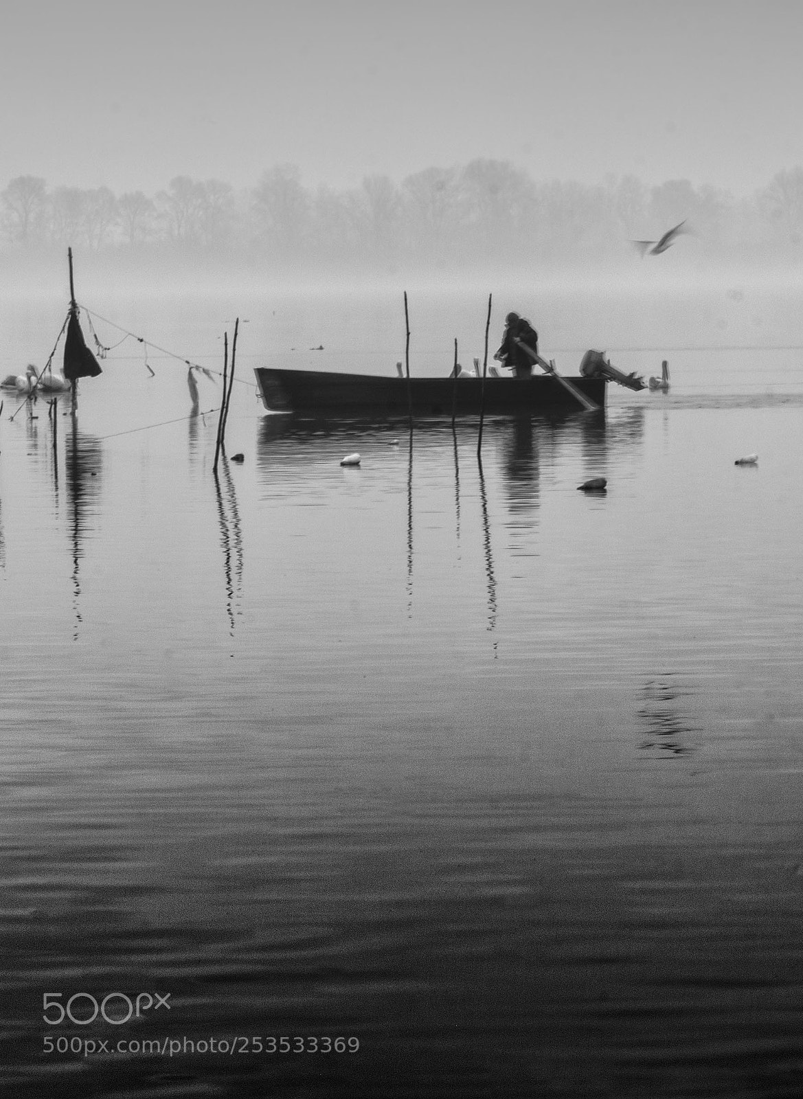 Canon EOS 60D sample photo. Fishing in the lake's photography