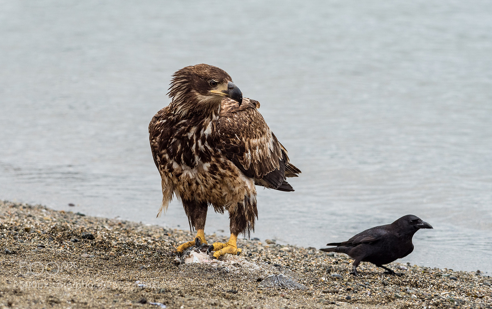 Olympus OM-D E-M5 II sample photo. I don't share photography