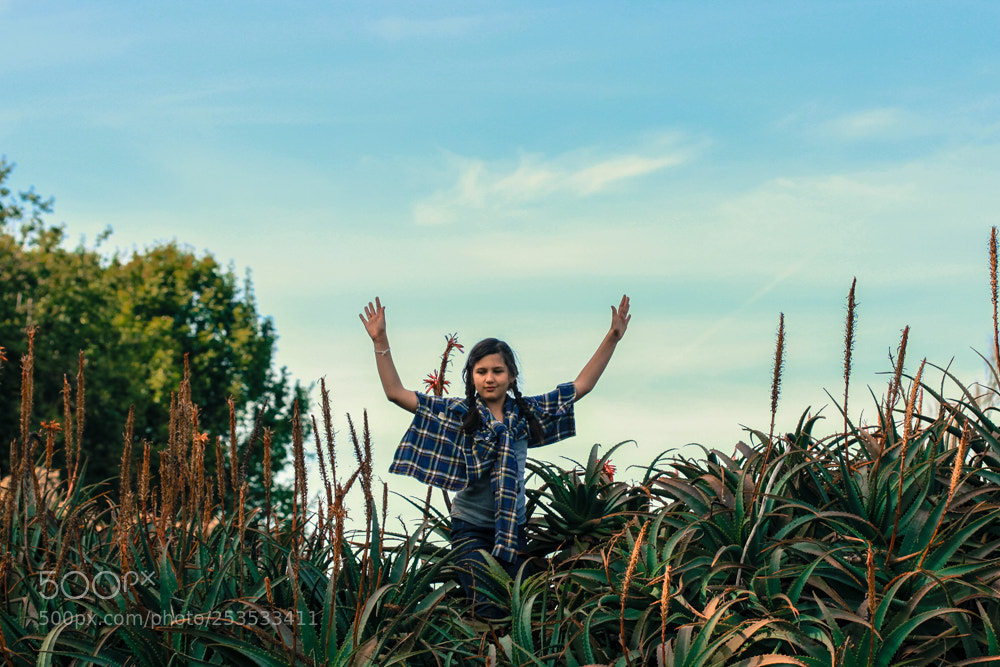 Canon EOS 7D sample photo. Queen of the aloe photography