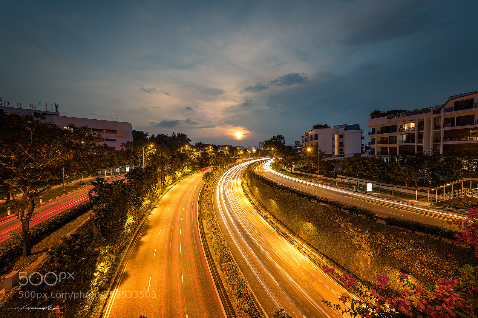 Nikon D850 sample photo. Life in the fast photography