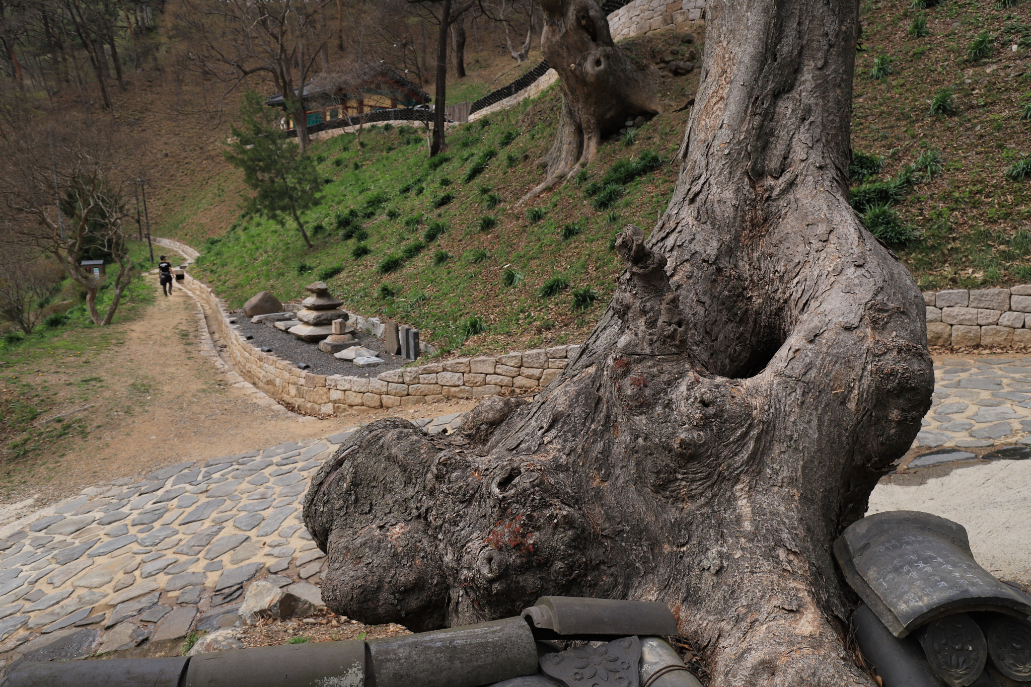 Canon EF 16-35mm F4L IS USM sample photo. Revive photography