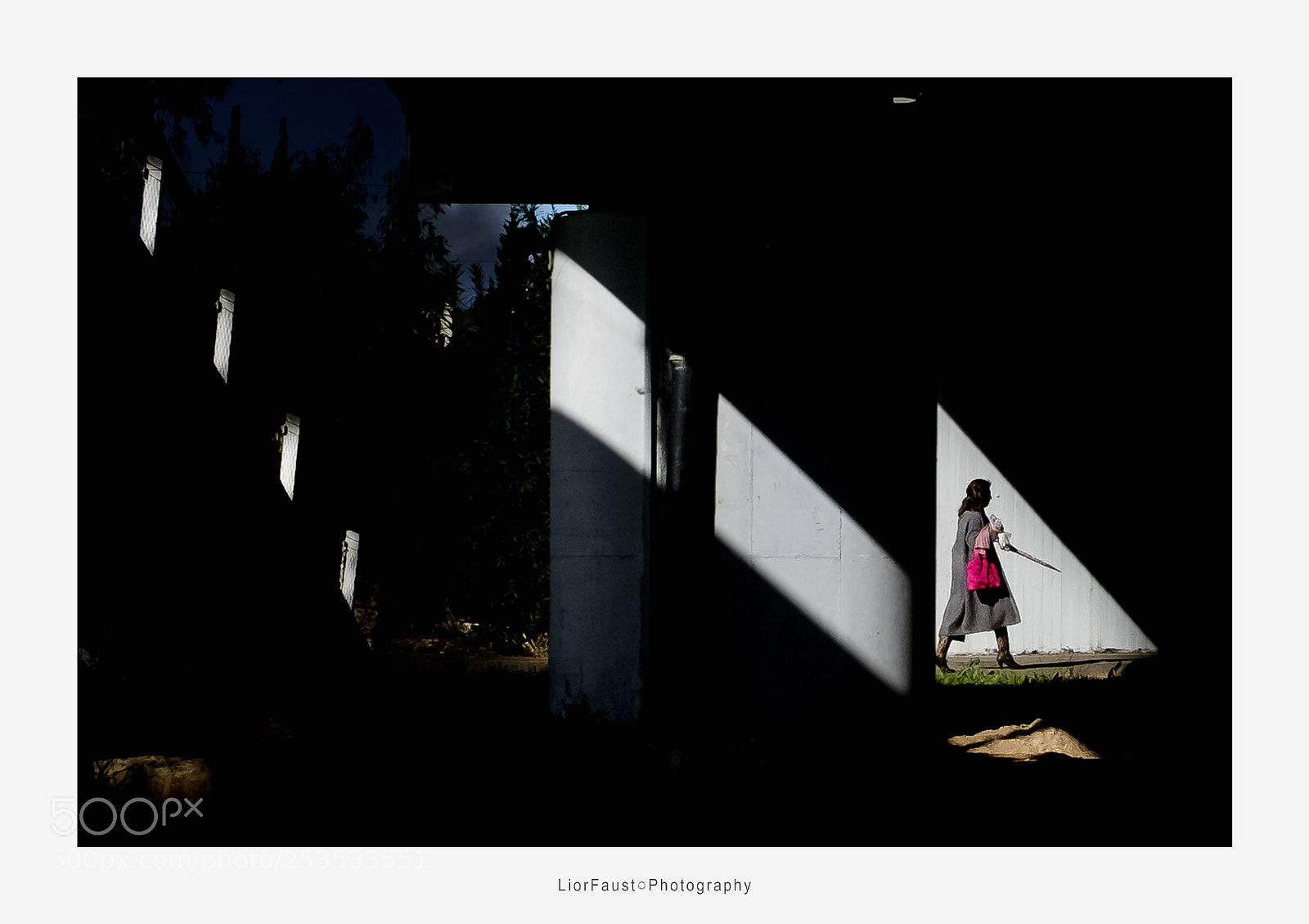 Fujifilm X100F sample photo. In the light photography