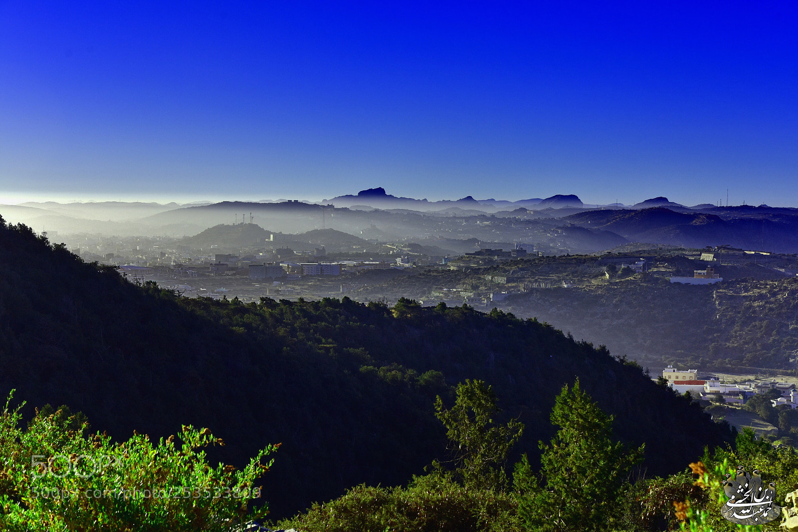 Nikon D810 sample photo. Untitled photography