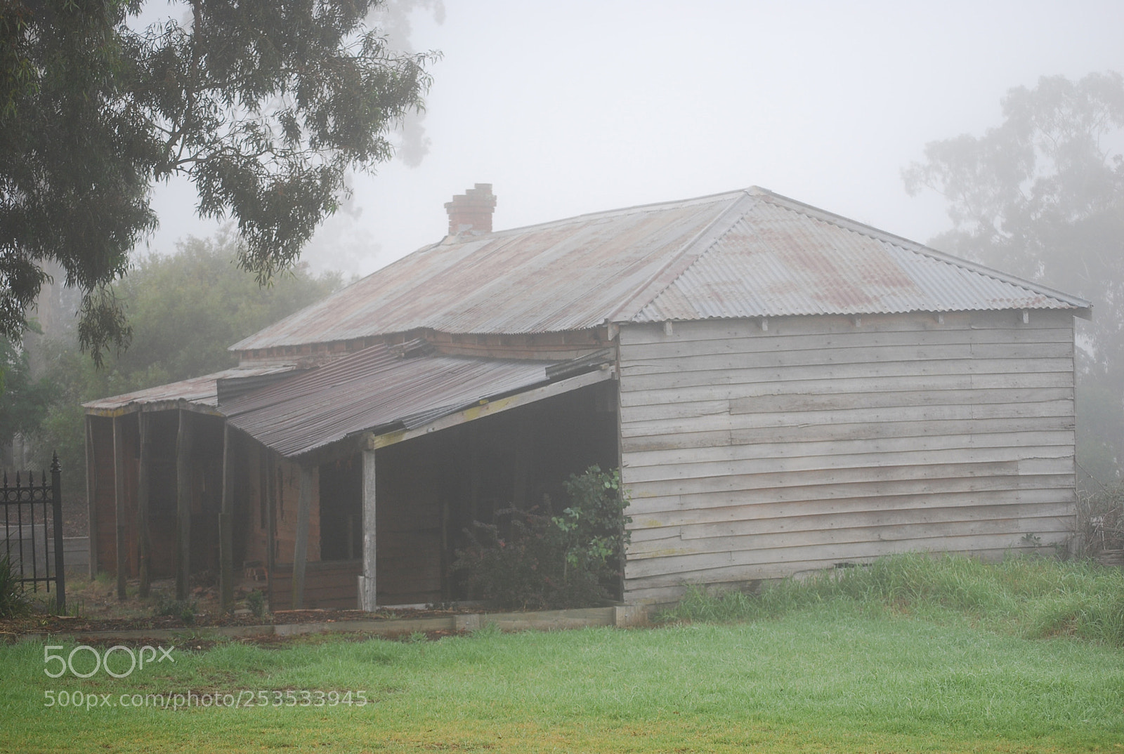 Nikon D40X sample photo. Foggy morning photography
