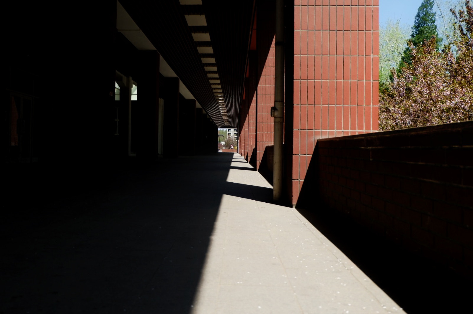 Fujifilm X-A10 sample photo