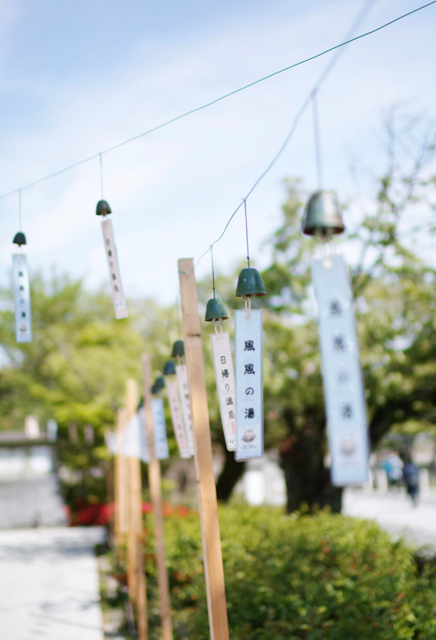 Sigma sd Quattro H sample photo. 27 photography