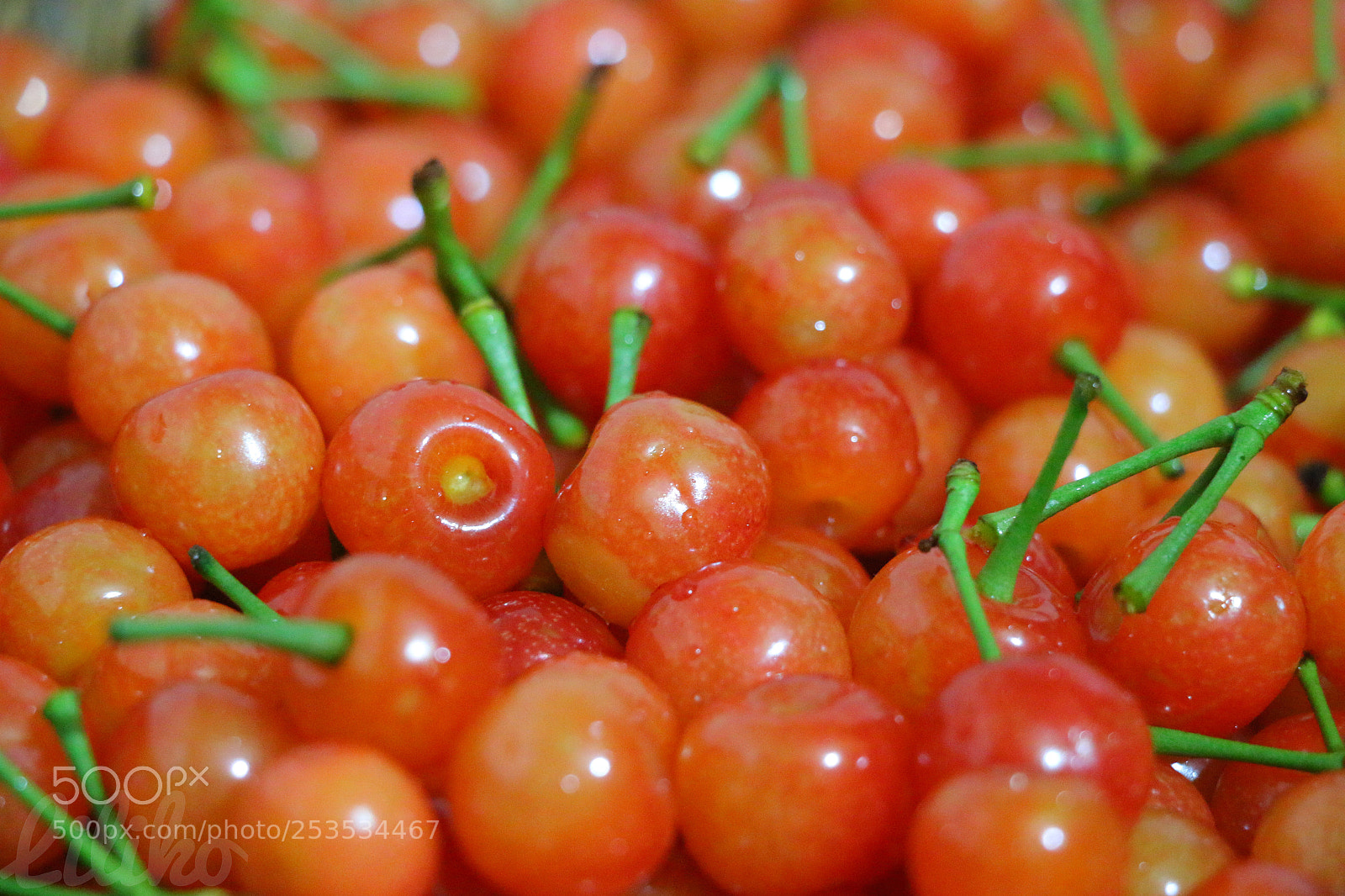 Canon EOS 70D sample photo. 红樱桃，颗颗甜。 photography