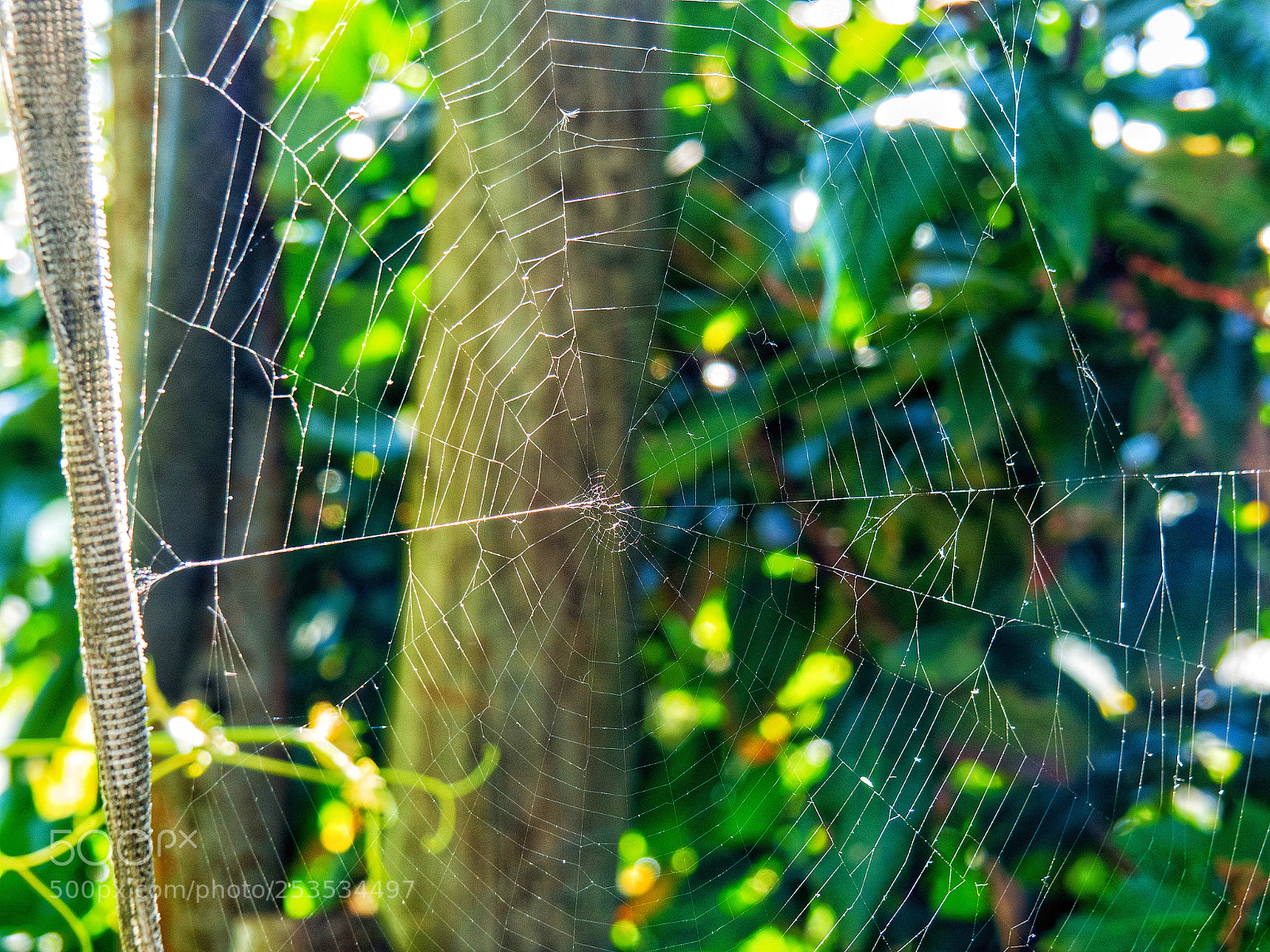 Olympus OM-D E-M10 sample photo. Untitled photography