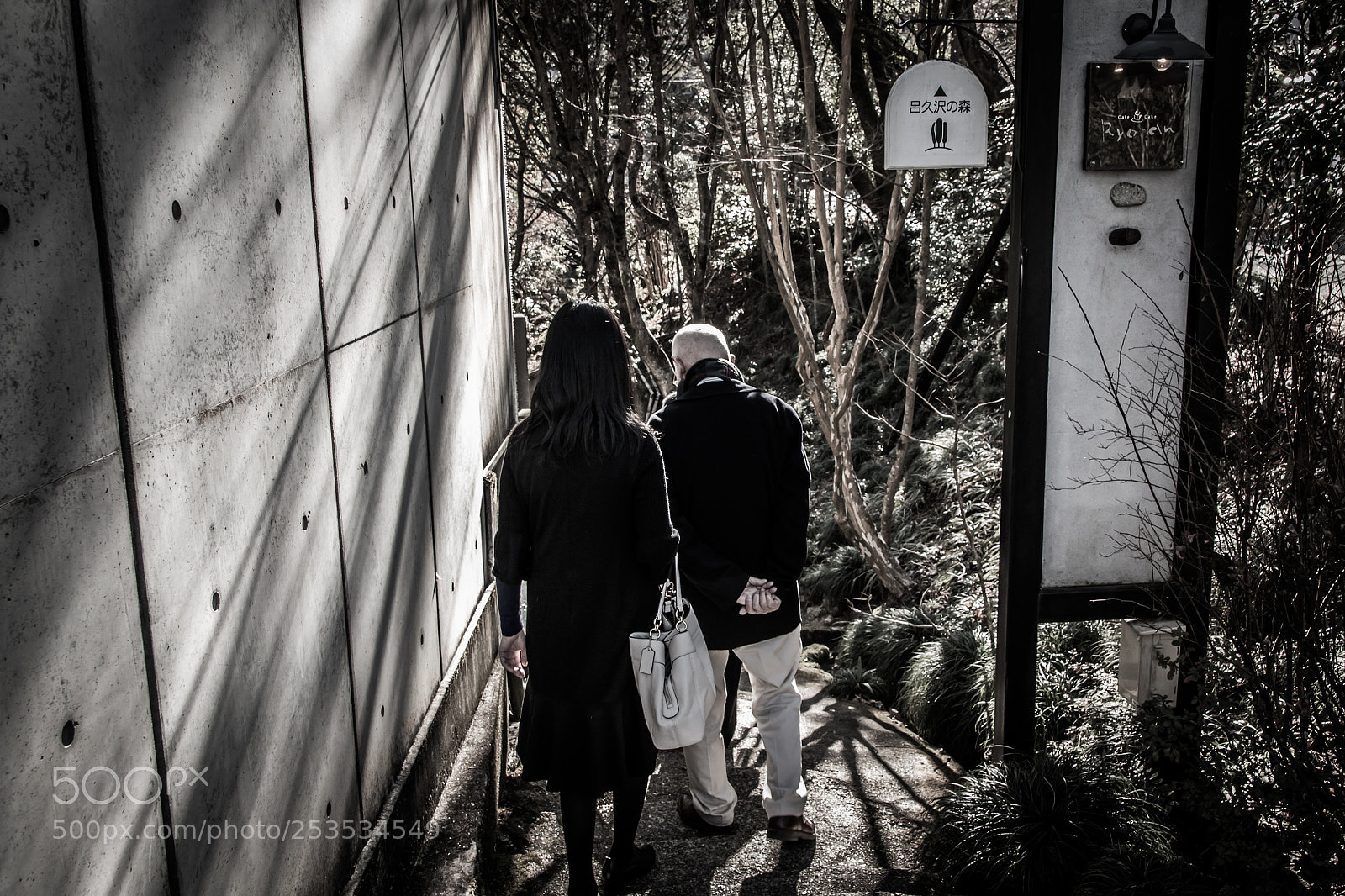 Canon EOS 70D sample photo. Ryoan2 photography