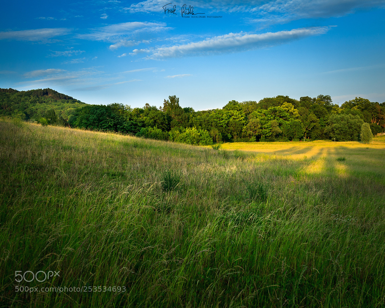 Canon EOS 5D sample photo. Walking on open fields. photography
