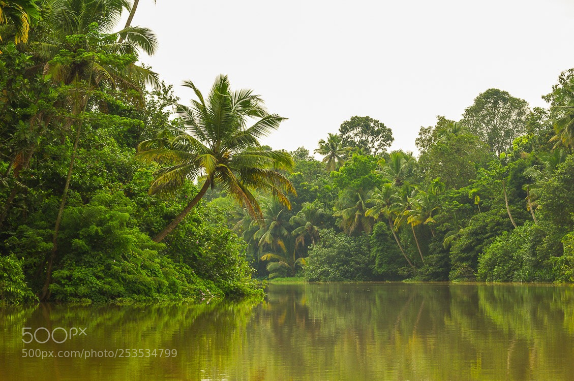 Pentax K-r sample photo. Backwaters photography