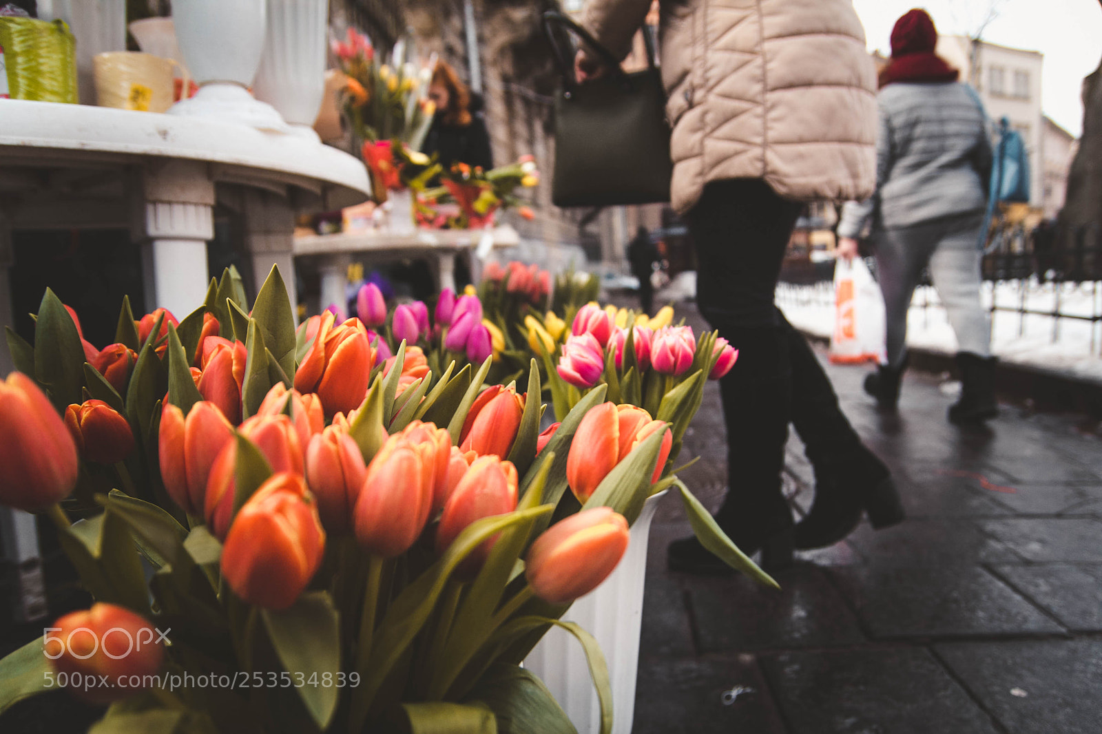 Canon EOS 60D sample photo. #springiscoming #13 photography