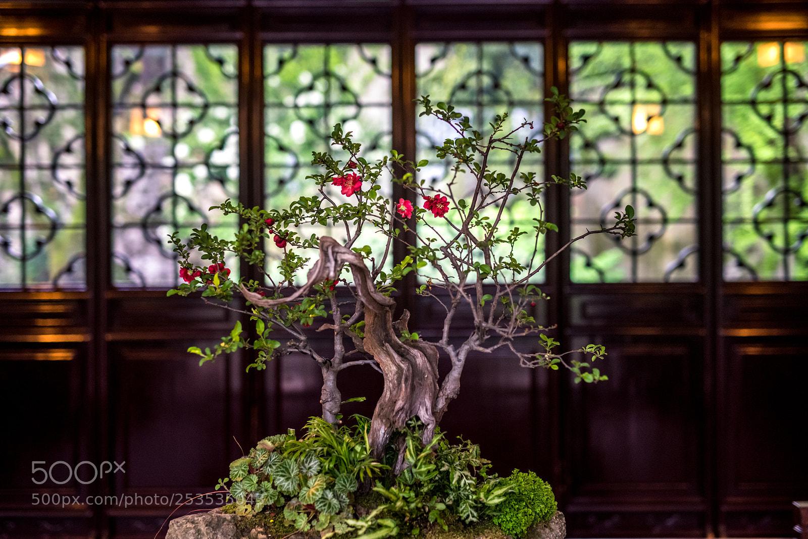 Nikon D810 sample photo. Untitled photography