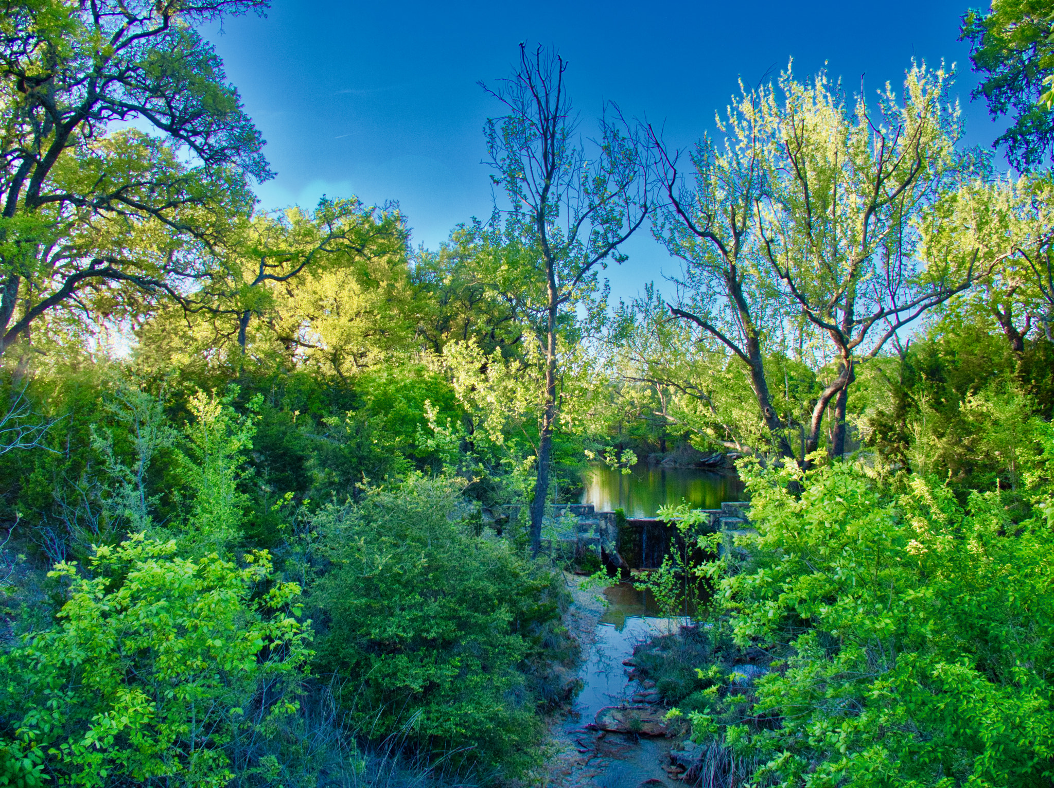 Olympus STYLUS1,1s sample photo. Sun goes down on little creek photography