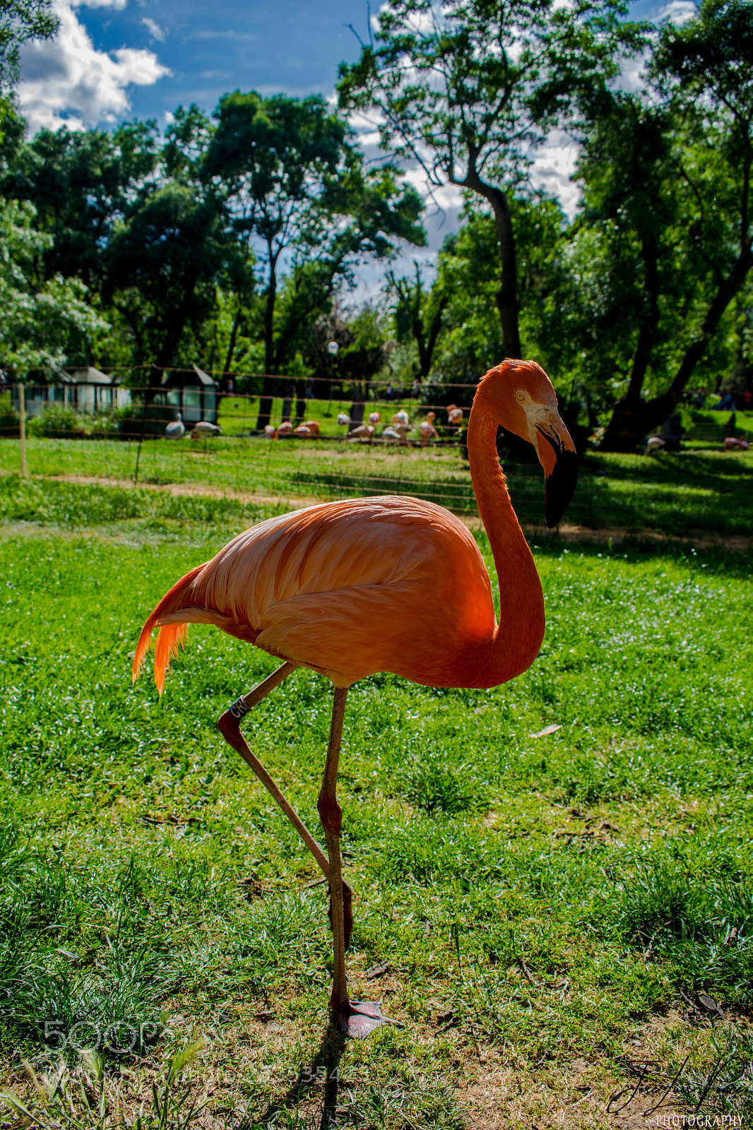 Nikon D3300 sample photo. Colores photography
