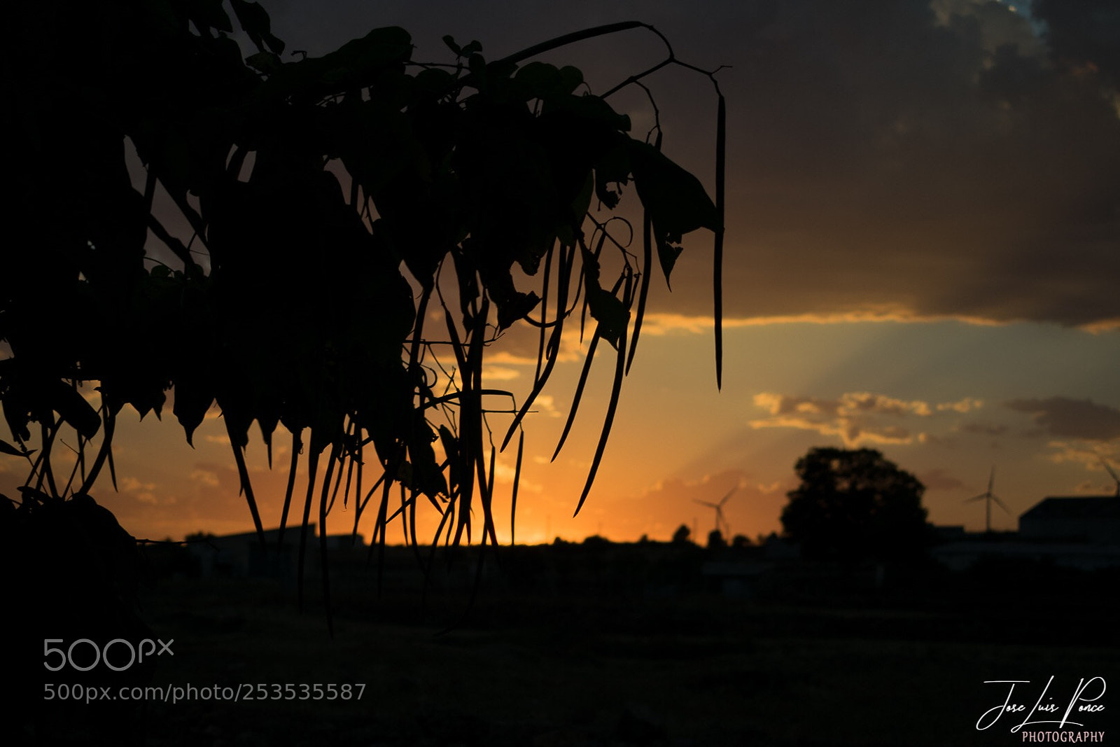Nikon D3300 sample photo. Atardecer entre naturaleza  photography
