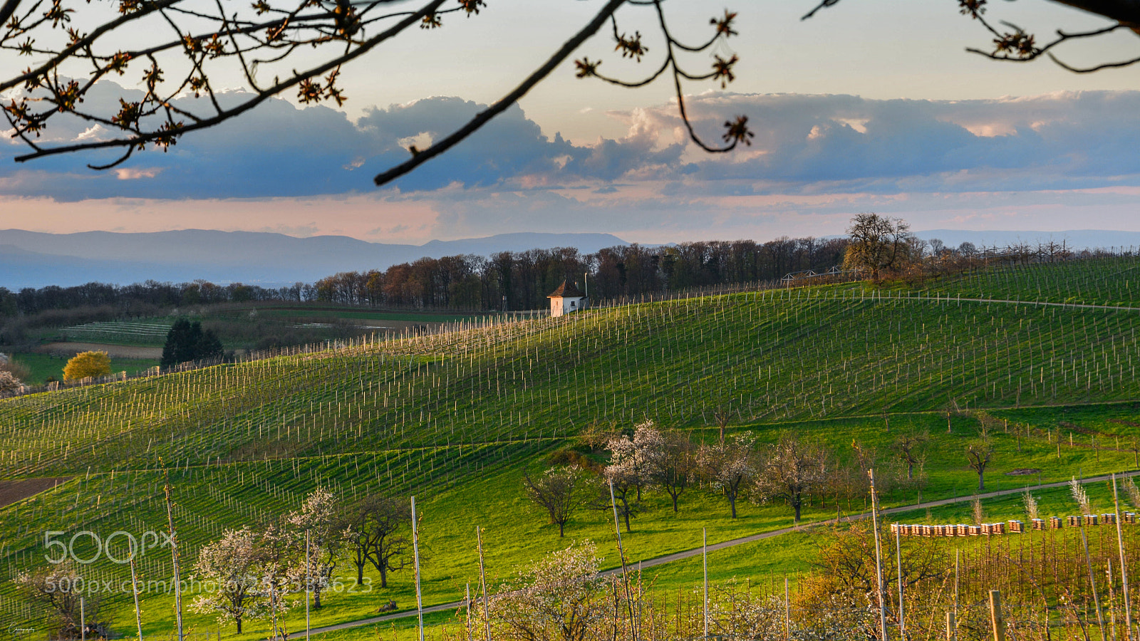 Nikon D7100 sample photo. Eggenertal am abend photography