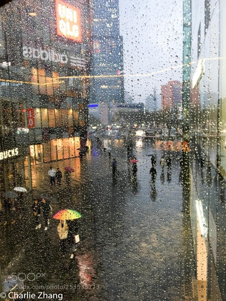 Apple iPhone 6s Plus sample photo. Untitled photography