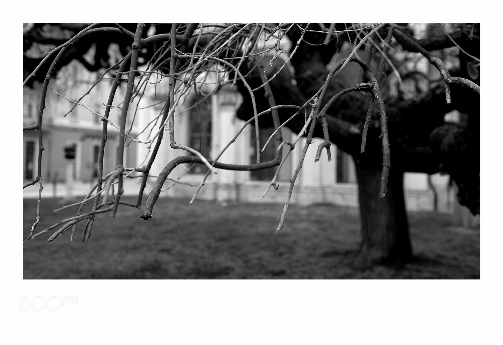 Fujifilm X-T1 sample photo. Debrecen photography