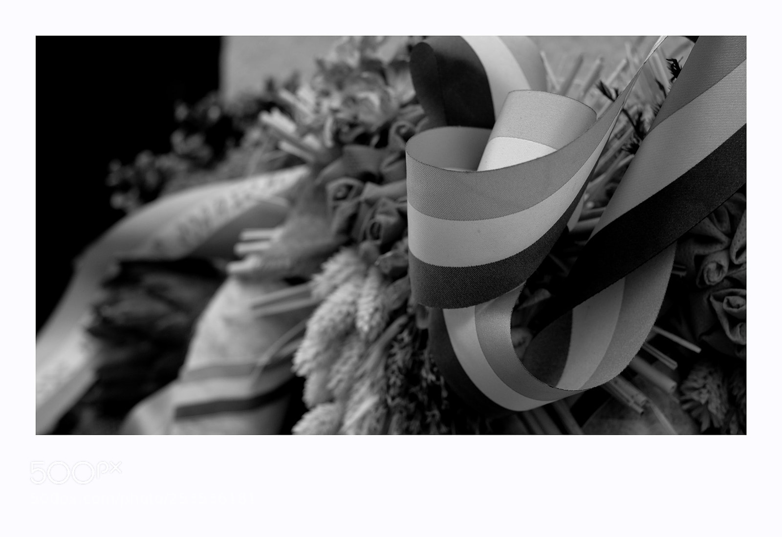 Fujifilm X-T1 sample photo. Debrecen photography